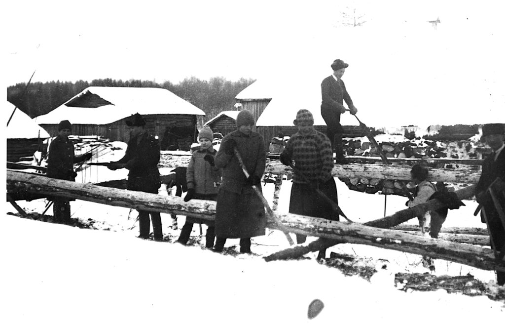 Navetan hirsien sahausta Papinniemen Timosessa 1928