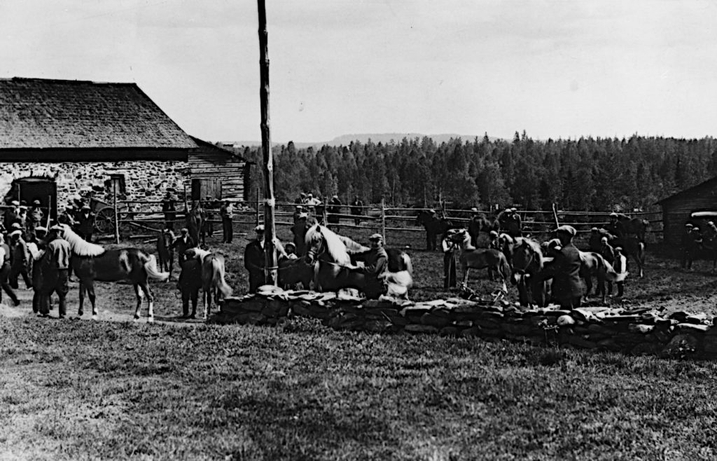 Kiteenlahdden orivarsalaitumen ensimmäiset tulokkaat vuonna 1938