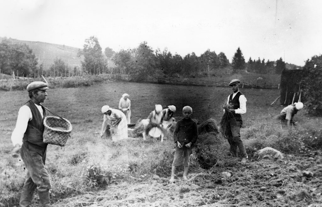 Kylvötöitä Kunnoniemen björnissä 1920-30 vaihteessa